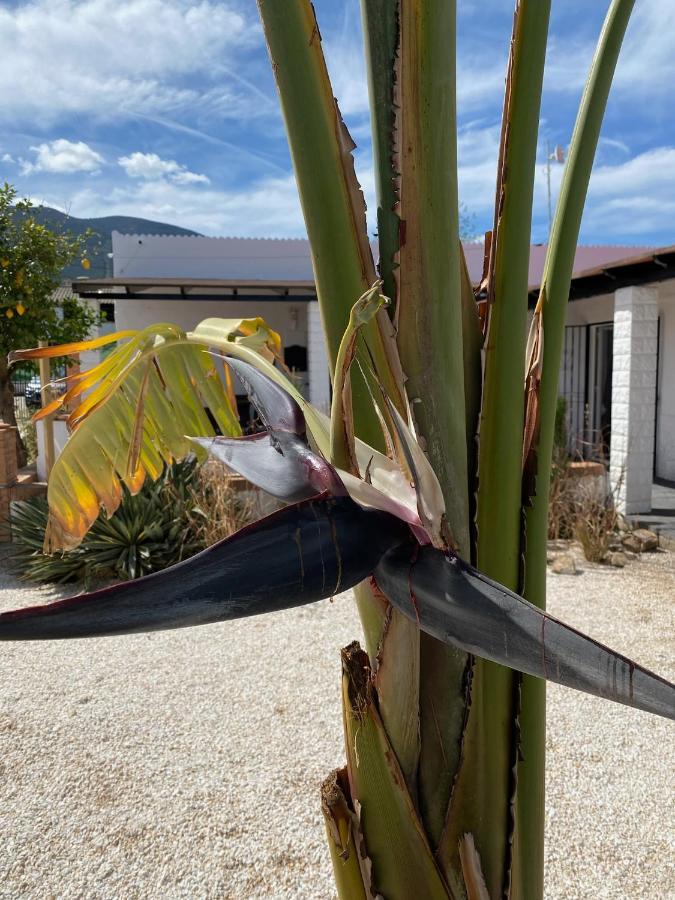 Casa Mama Villa Alhaurín el Grande Kültér fotó